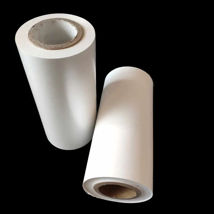 insulator နှင့်စွယ်စုံများအတွက် polyester mylar အိမ်မွေးတိရစ္ဆာန်ရုပ်ရှင်